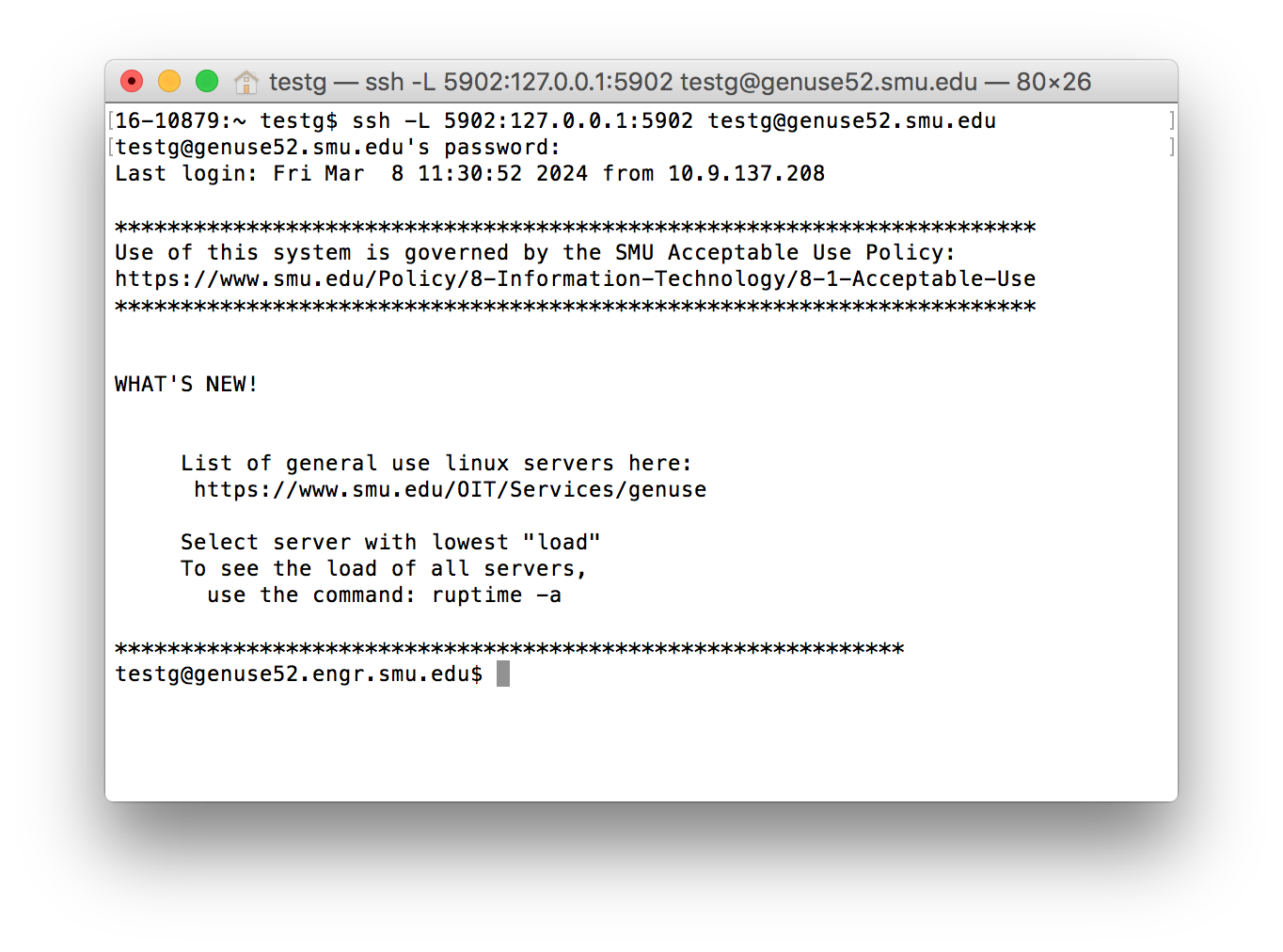 screenshot of vncserver window