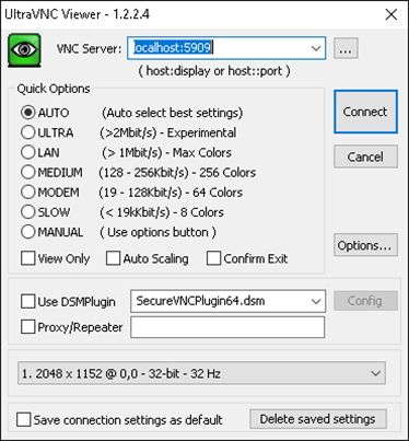 Graphical Applications with VNC (Windows)