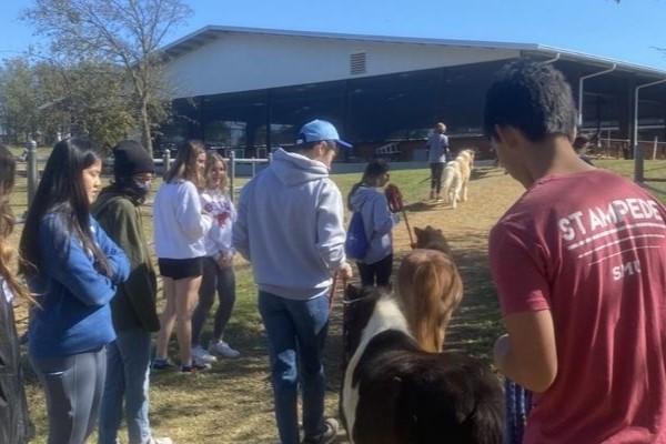8 students are outside with a large horse barn in the background. 4 students lead miniature horses towards the barn while the other 4 students stand by for support.