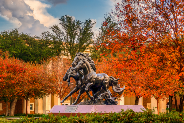 Statue of Mustangs Galloping