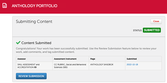 A screenshot of a successfully submitted assignment in Anthology Portfolio.