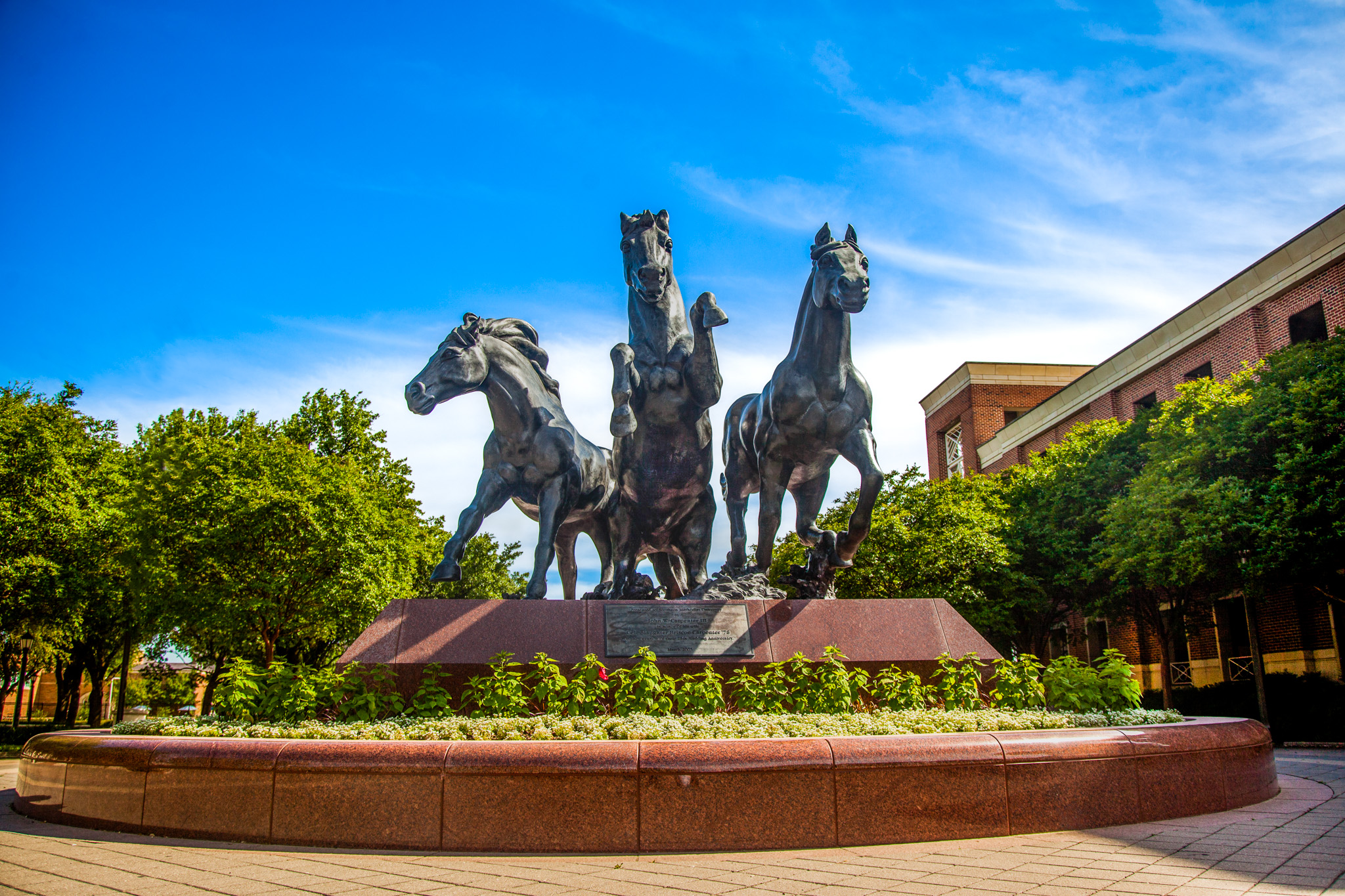 Outdoor sculpture of three large charging mustang horses