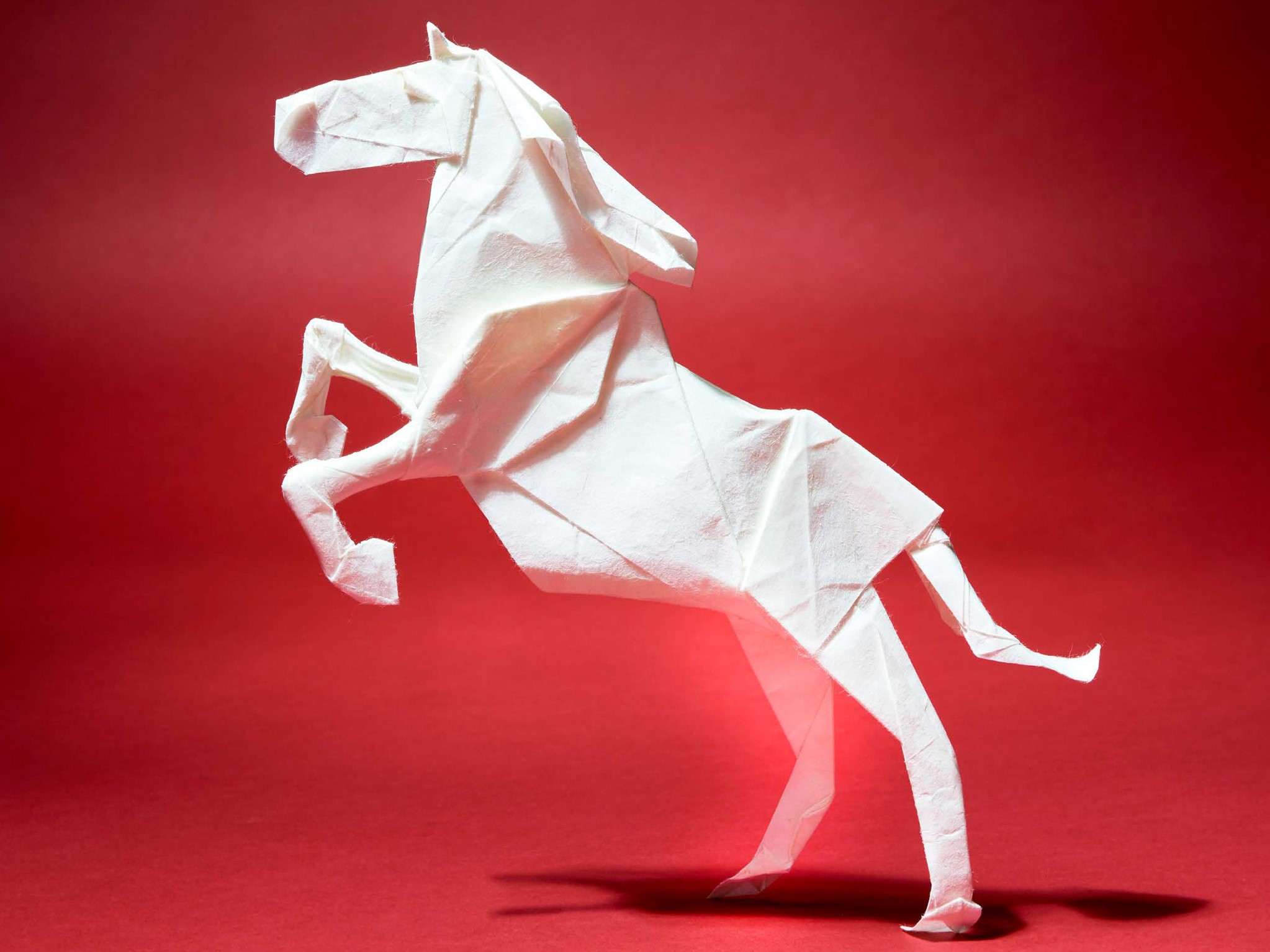 Origami horse on a red background