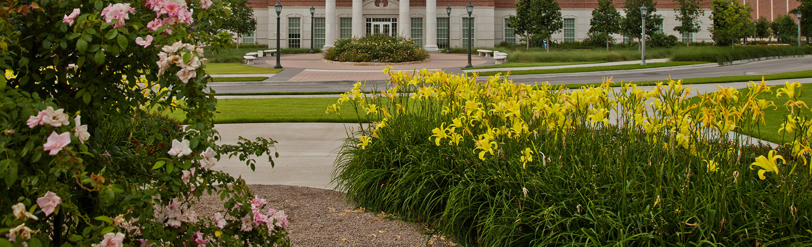 A rose and flower garden located at front of Annette Caldwell Simmons Hall.