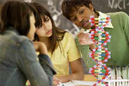Students studying DNA model