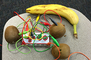STEM class activity using fruit