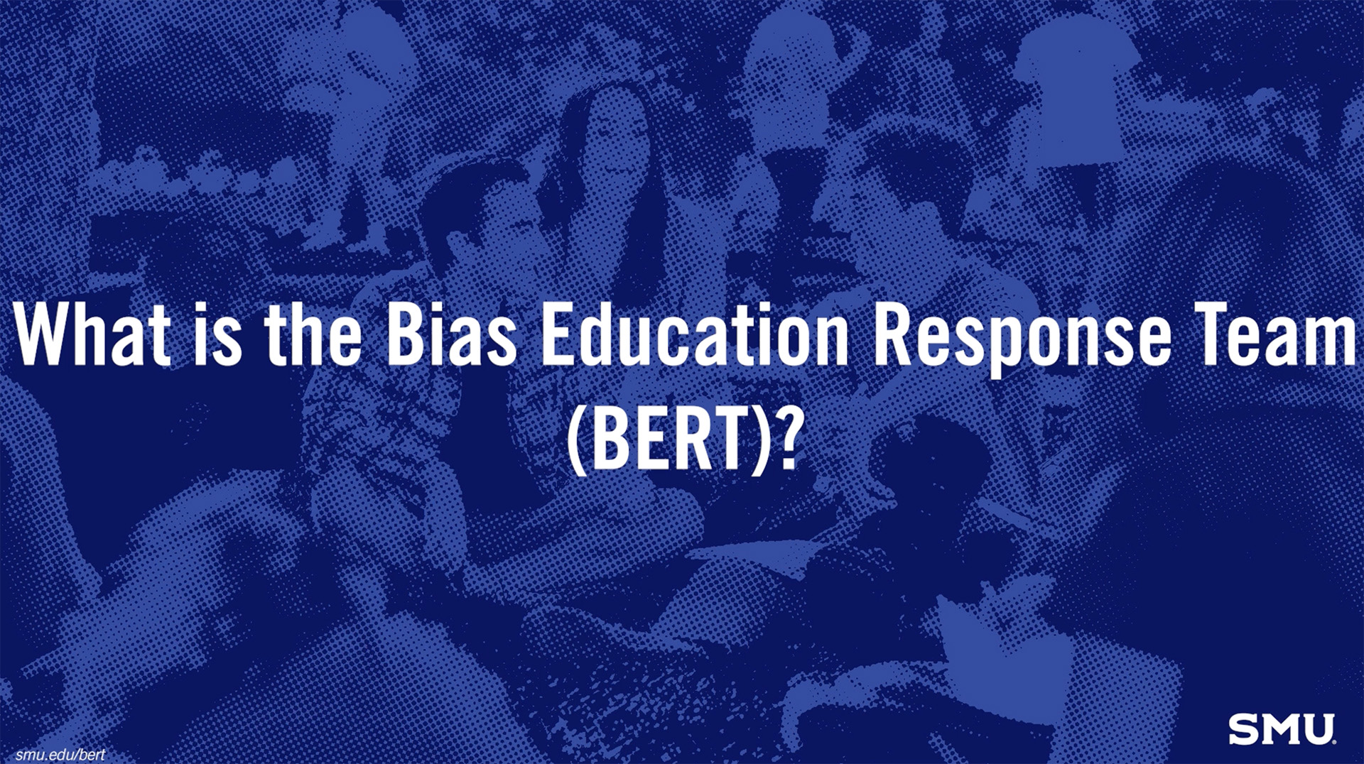 What is the Bias Education Response Team (BERT)?