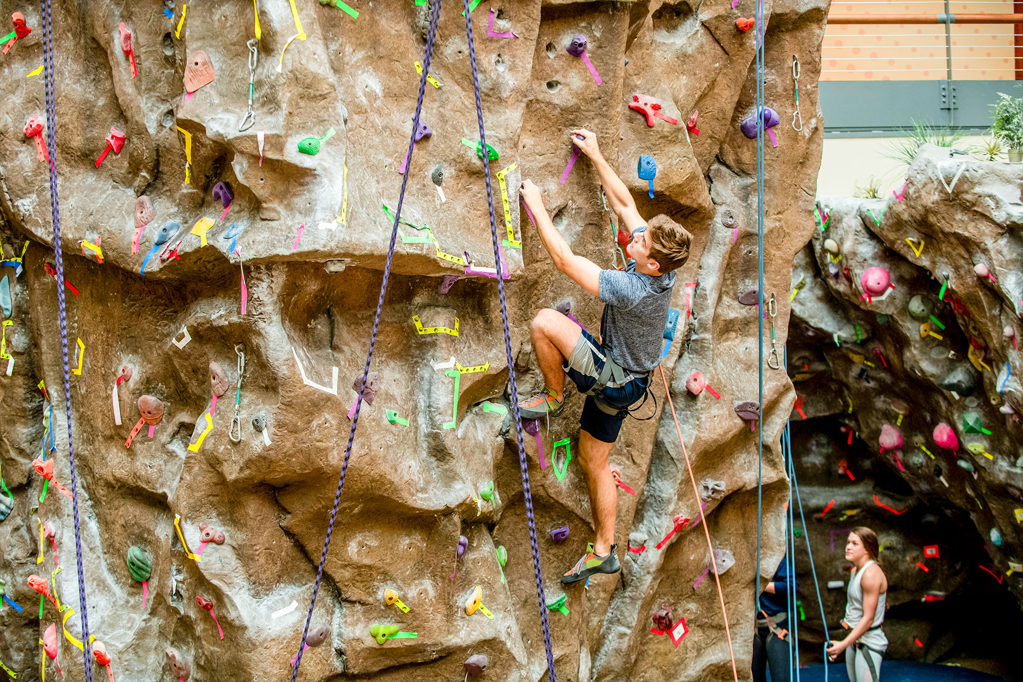 student on the climbing wall in dedman center for lifetime sports