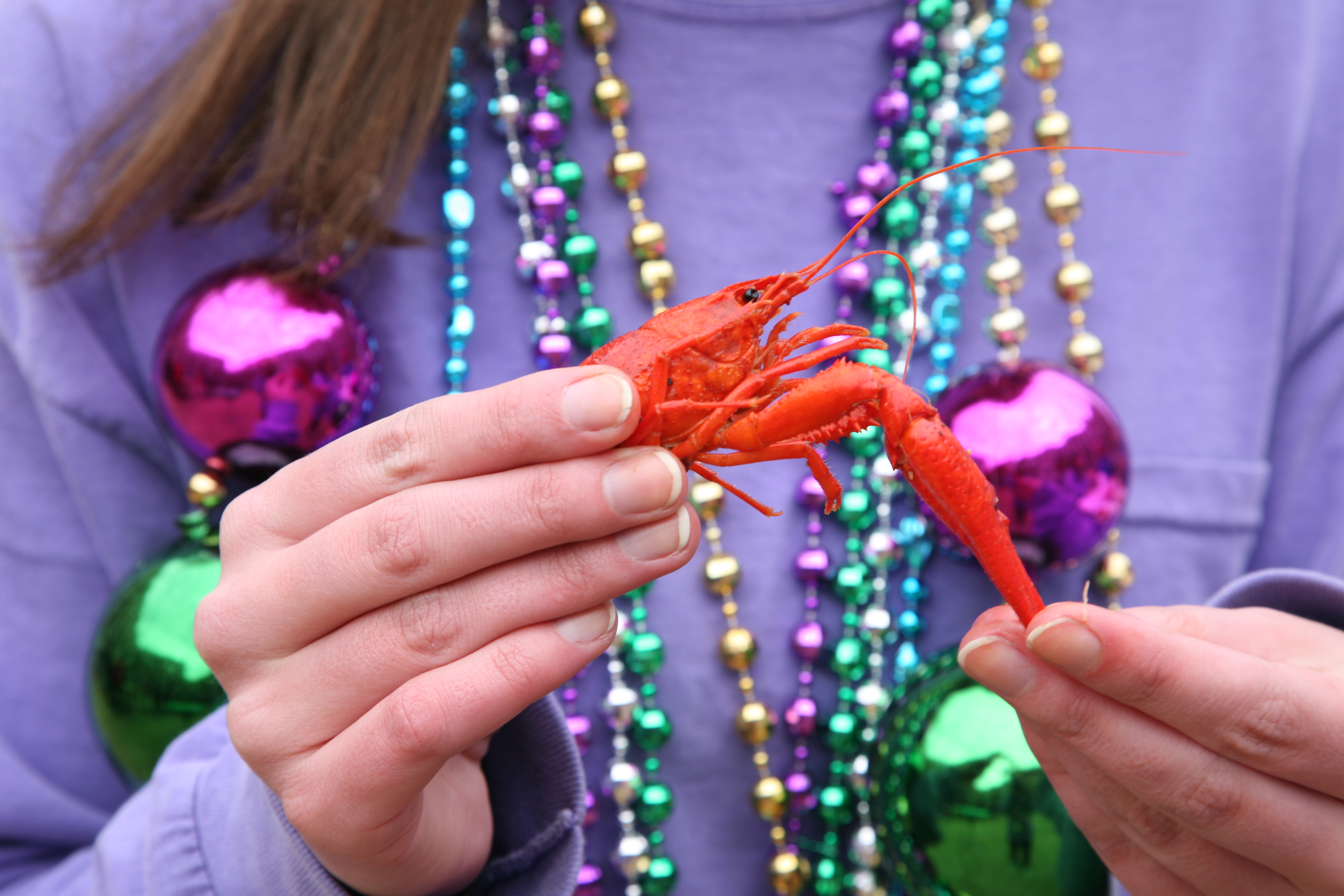 Student holding a crawfish