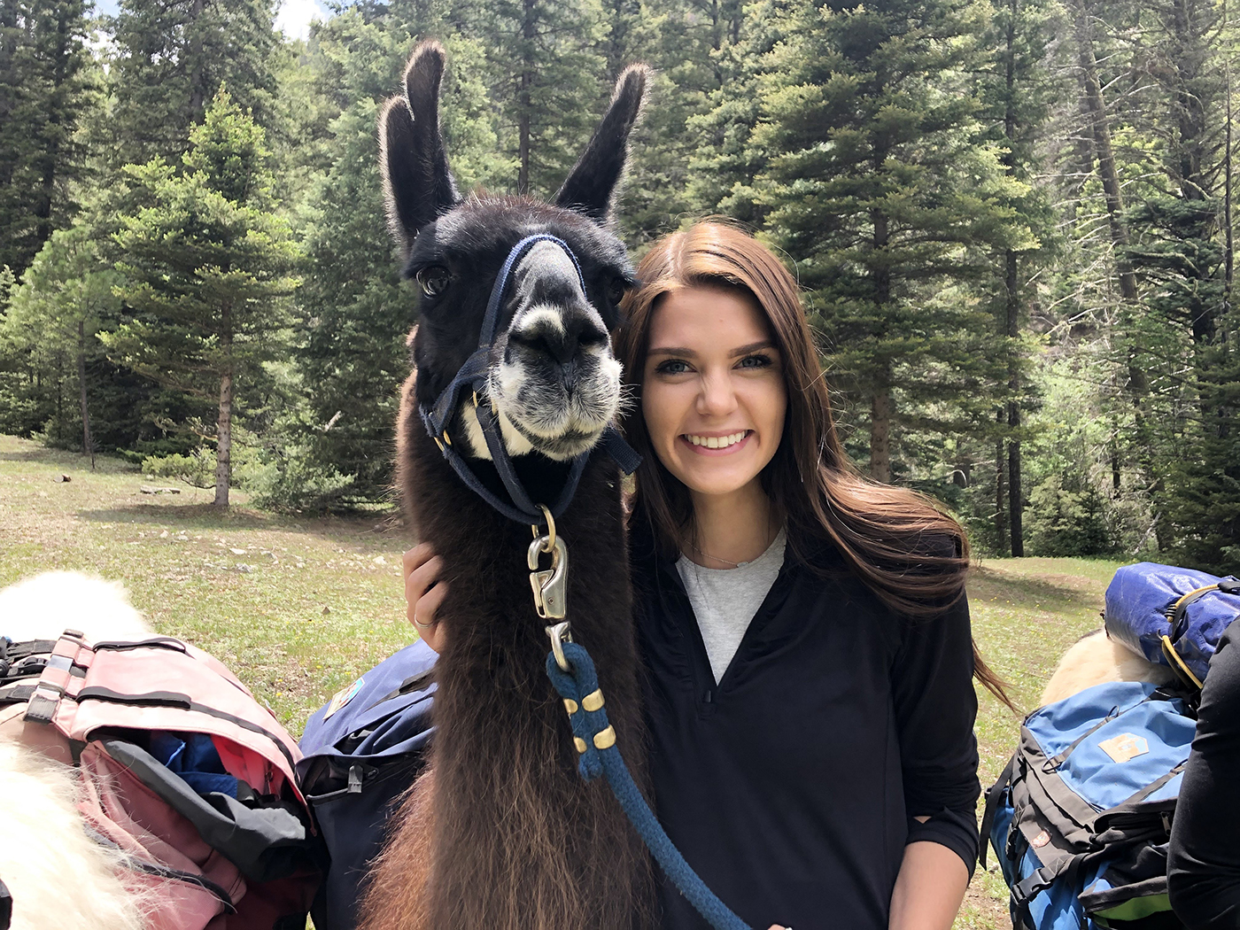 SMU-in-Taos student with llama