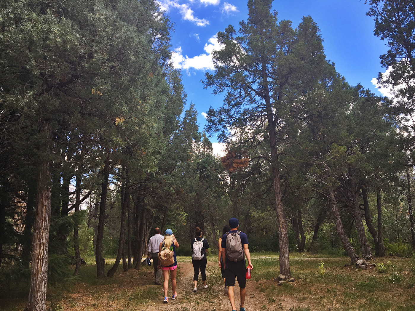 SMU-in-Taos students walk in a forest