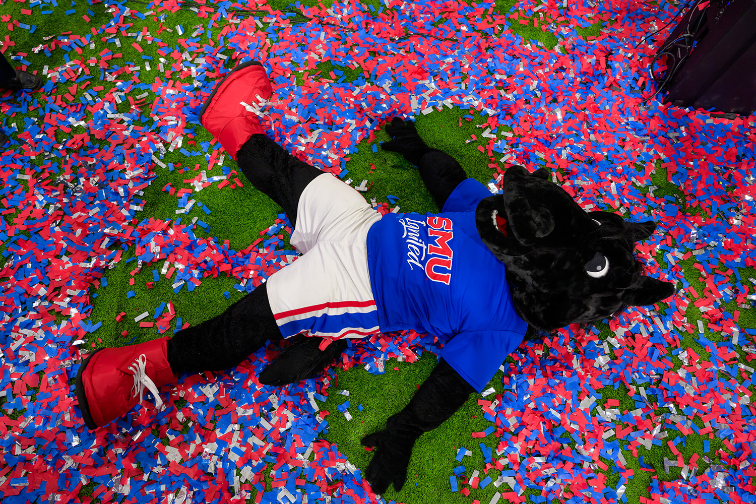Peruna mascot laying on a floor covered in confetti.