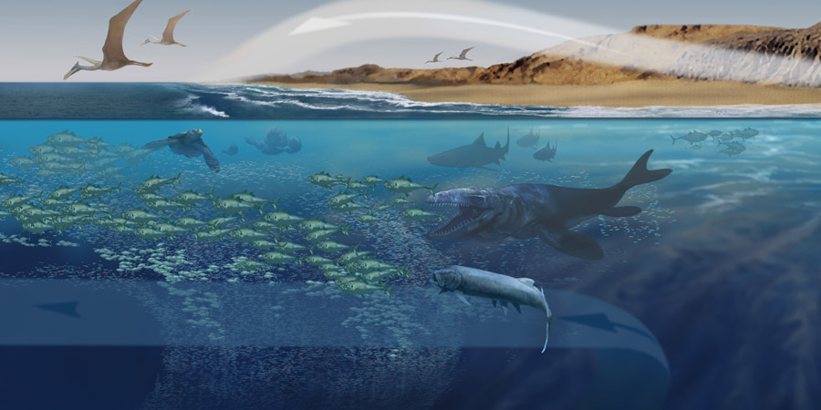 When Dinosaurs Ruled the Earth: Unearthing Prehistoric Life 1 When Dinosaurs Ruled the Earth: Unearthing Prehistoric Life