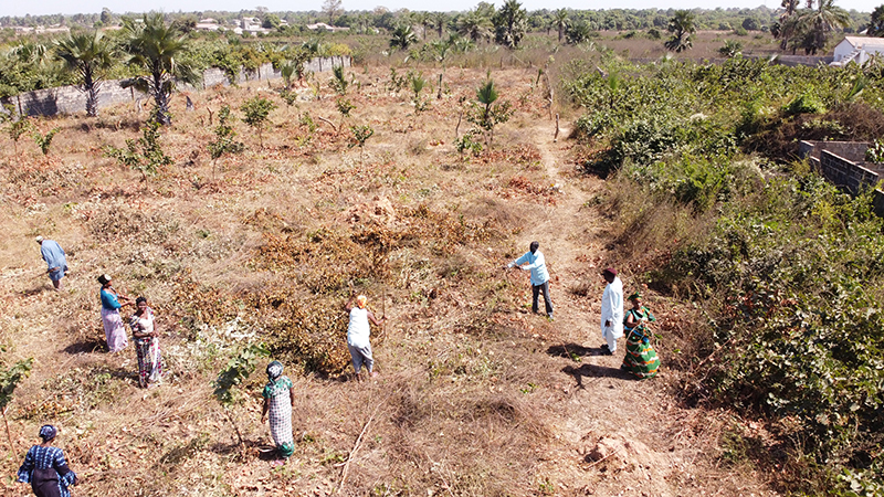 Overhead shot of people in a field.