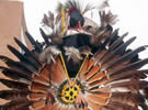 Native American Feathers
