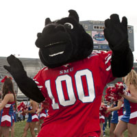 Peruna and the Thrill of Victory