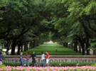SMU Campus Beauty