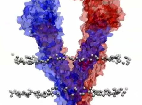 cancer-fighting compound