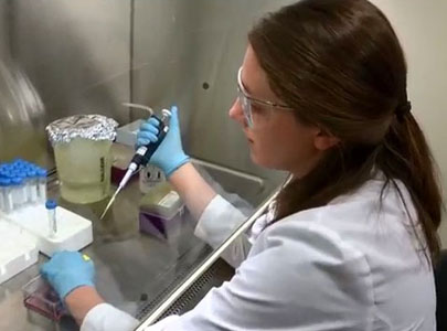 Cancer research at SMU