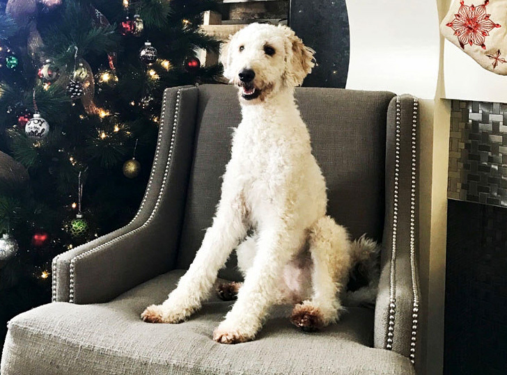 Holidays in the SMU Commons