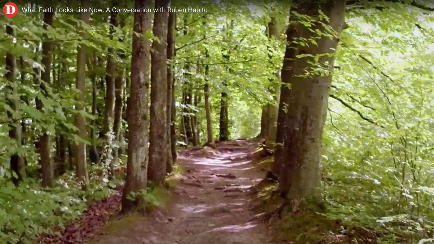 Mindfulness Ruben Habito