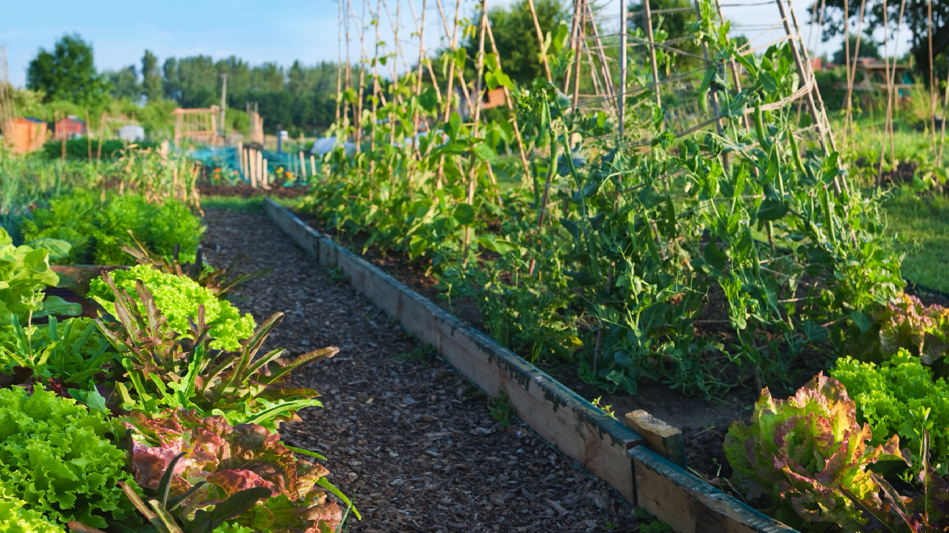 Making urban farming sustainable