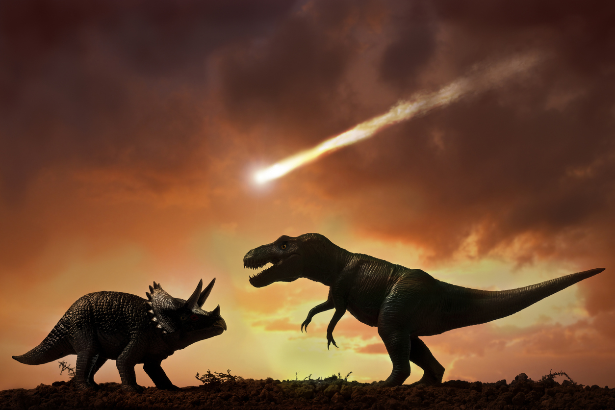 Louisiana fossils and seismic data show evidence of the dinosaur-killing asteroid.