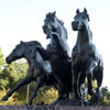Mustangs Statue at SMU