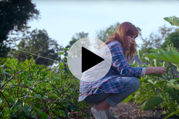 Founder Michaela Eamma examining plants outdoors as part of the Nexus Security initiative.