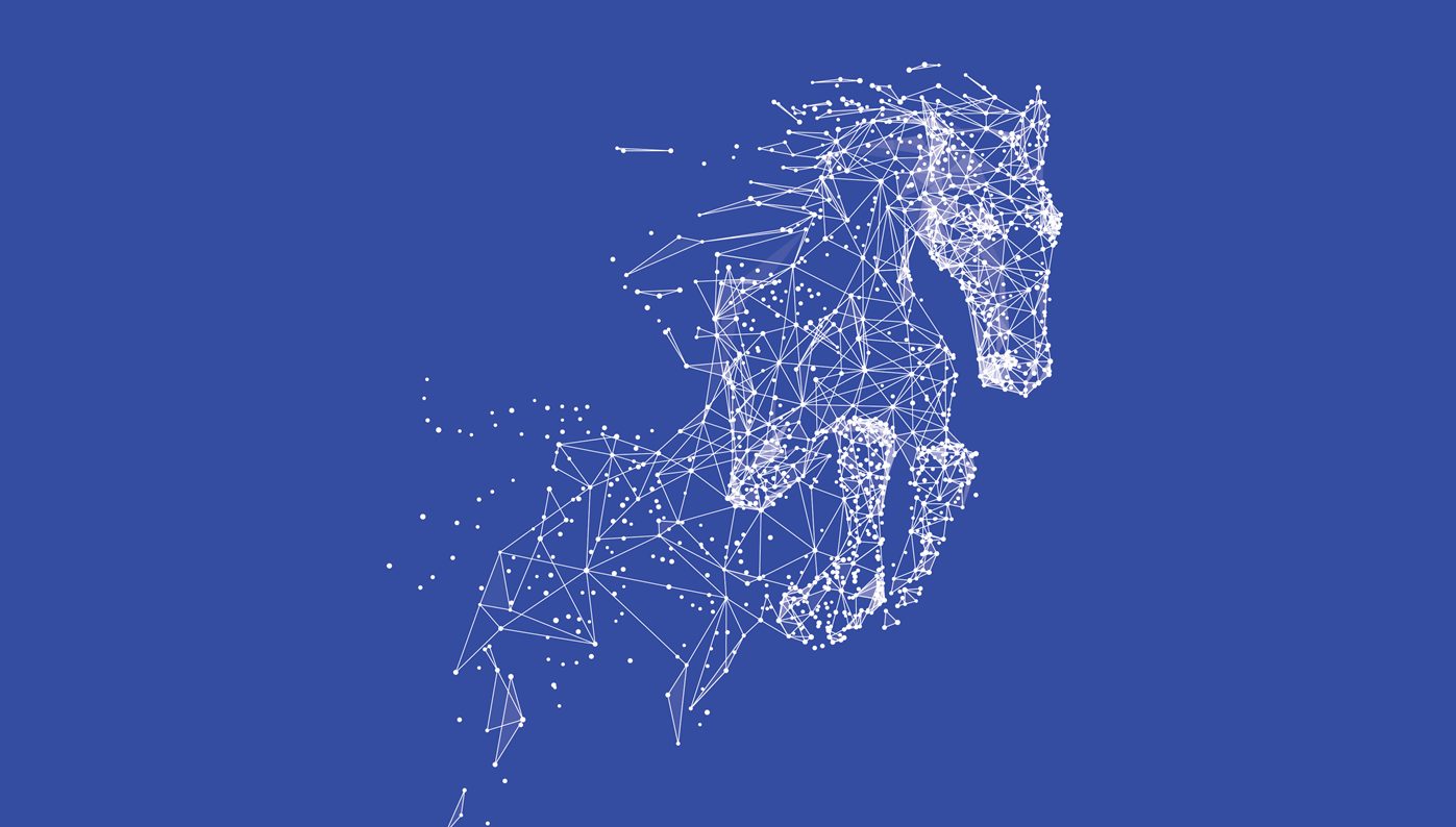 Constellation Pony