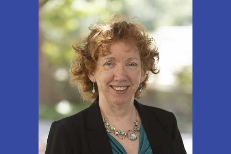 Dr. Barbara Minsker, Bobby B. Lyle Endowed Professor of Leadership and Global Entrepreneurship and Julian Hinds Award Honoree