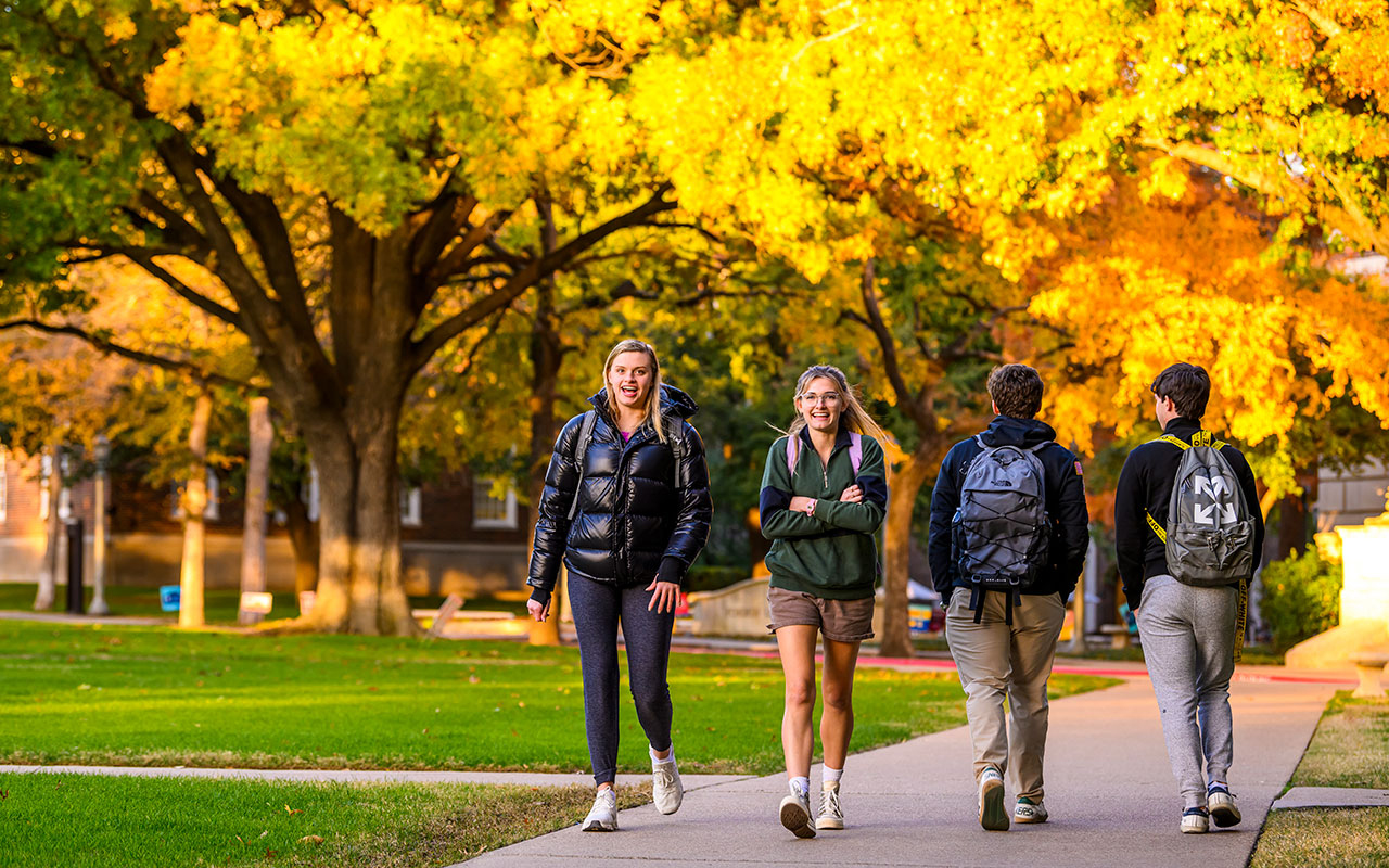 Framework for the future