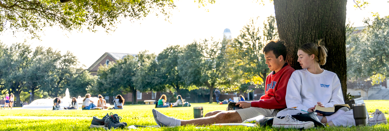 SMU students studying under a tree on the lawn