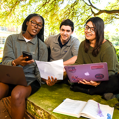 Students studying outside together