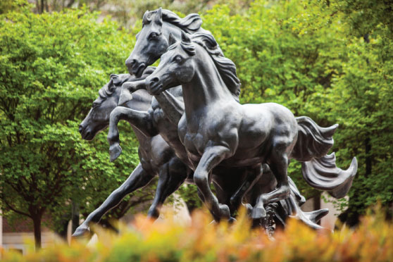 SMU Admitted Students Reception image