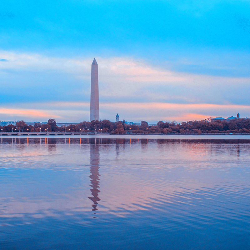 The Washington monument