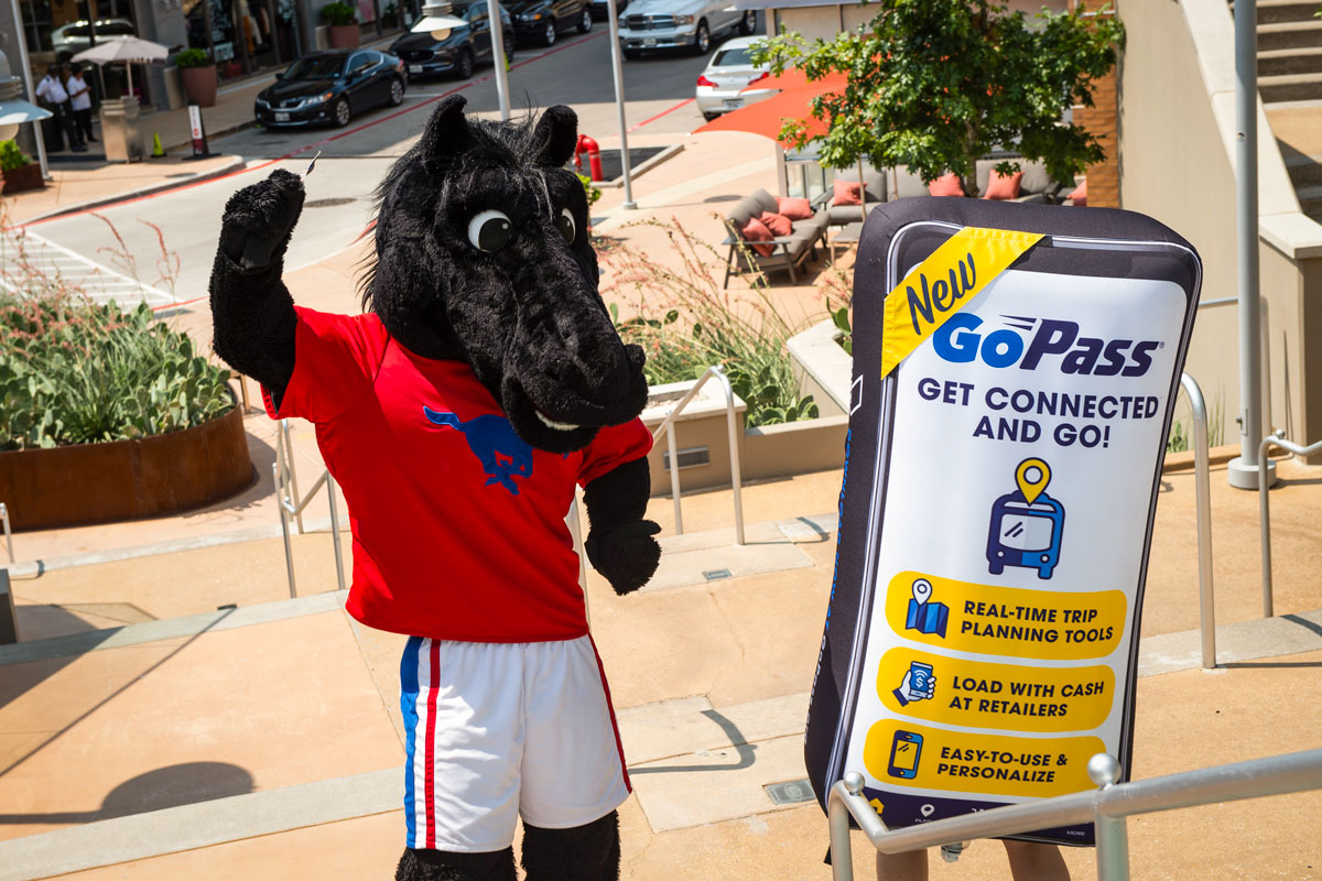 Peruna celebrating at the Dart Go Pass announcement at Mockingbird Station