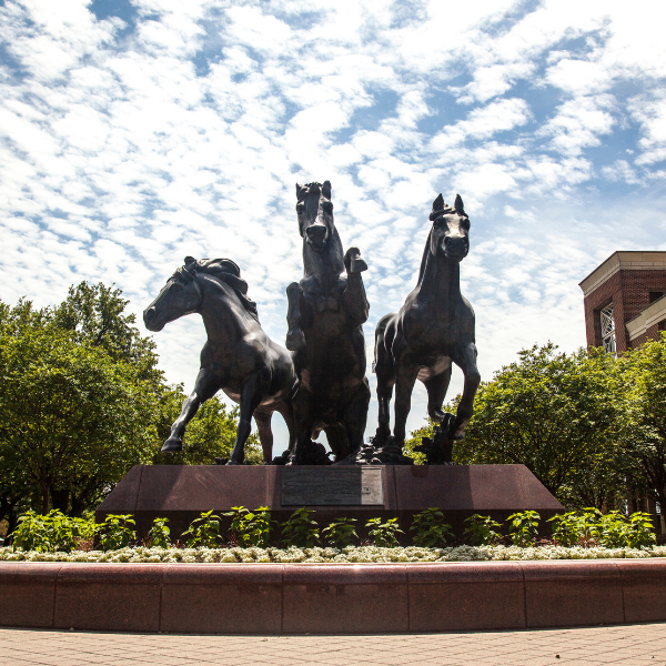 SMU Cox master’s in management students benefit from the real-world experience the management in action project offers.