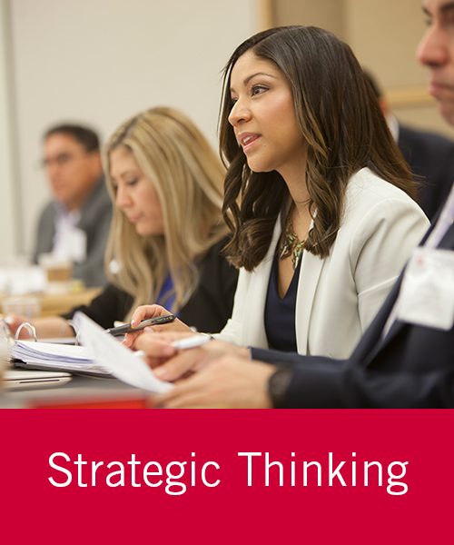 Strategic Thinking
