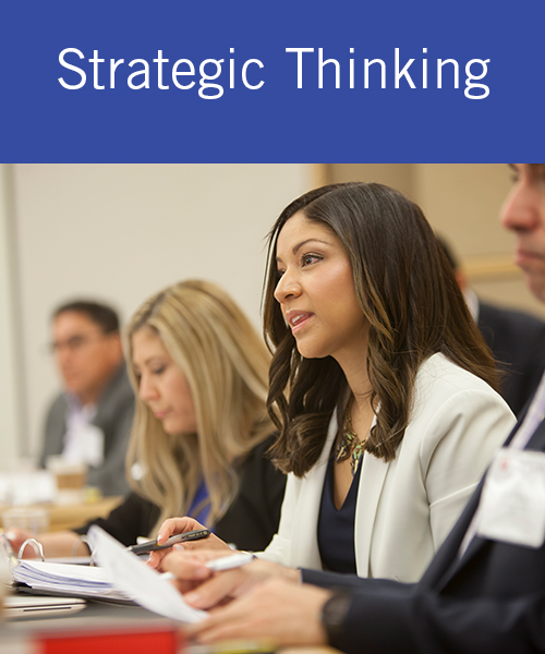 Strategic Thinking