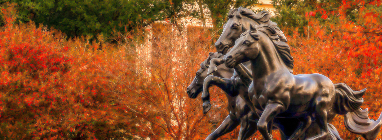 photo of horses statue
