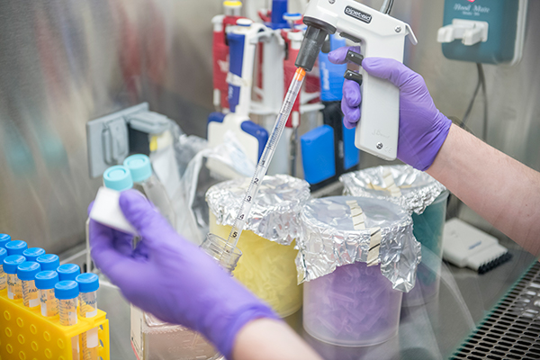 Bio statistics Department.