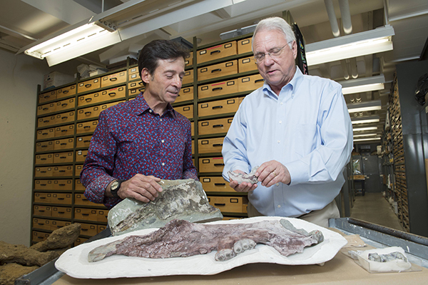 Two People Looking at a Rock. 