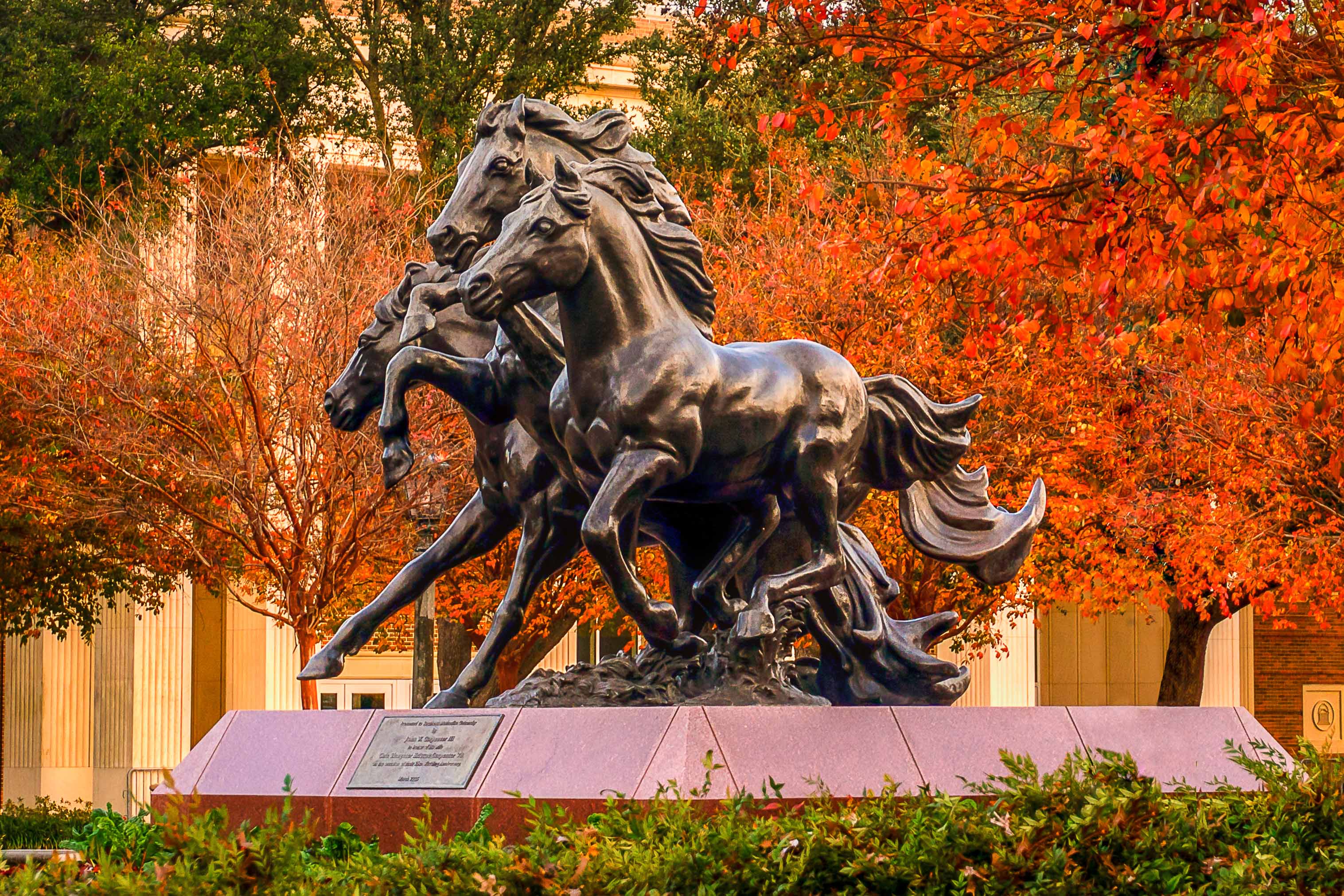Mustangs Statue