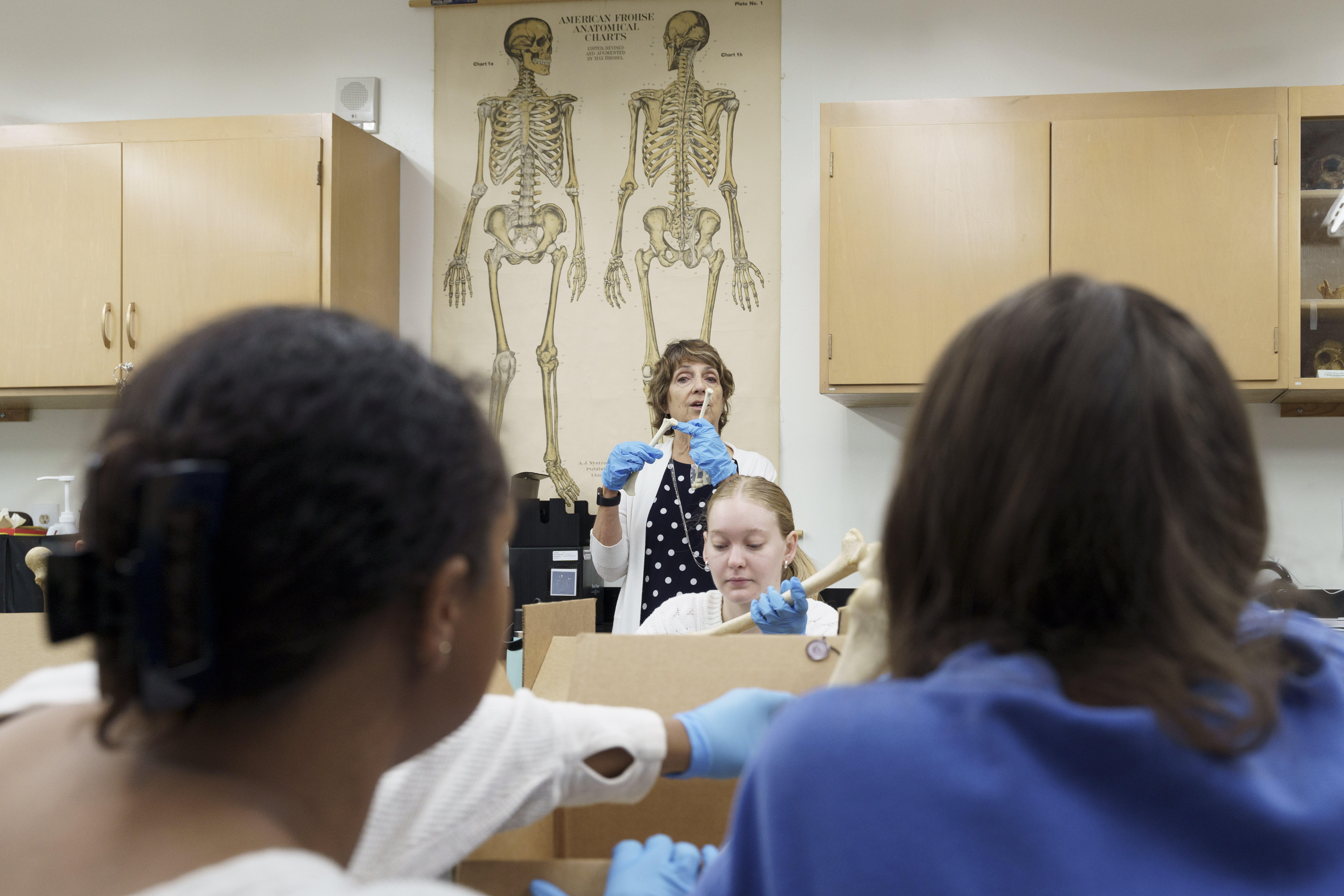 SMU Anthropology majors study boxes of human bones during a class.