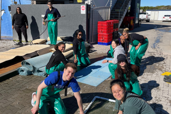 Human Rights program students volunteering in the community.