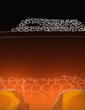 smu guildhall game project Battle for the Underground