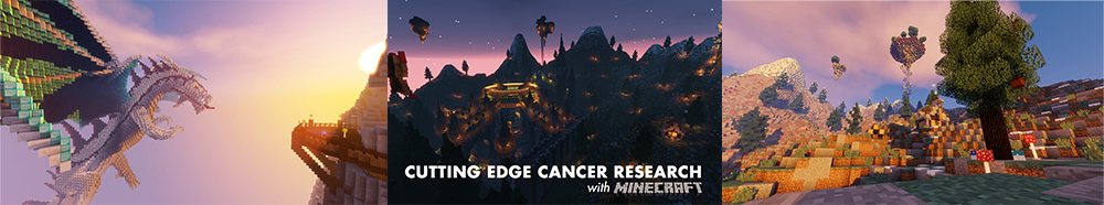Screenshots of Minecraft Research for Cancer