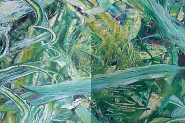 green and blue painting cover art