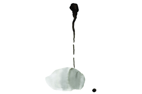 cover of Rainer Maria Rilke: Das Marien-Leben